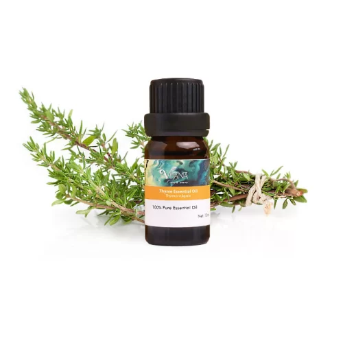 Čiobrelių aromato eterinis aliejus, 10 ml